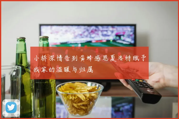 小桥深情告别黄蜂感恩夏洛特赋予我家的温暖与归属